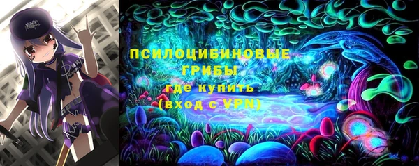 2c-b Верхний Тагил