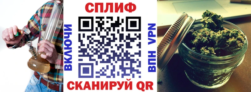 Марихуана семена как найти закладки Гатчина